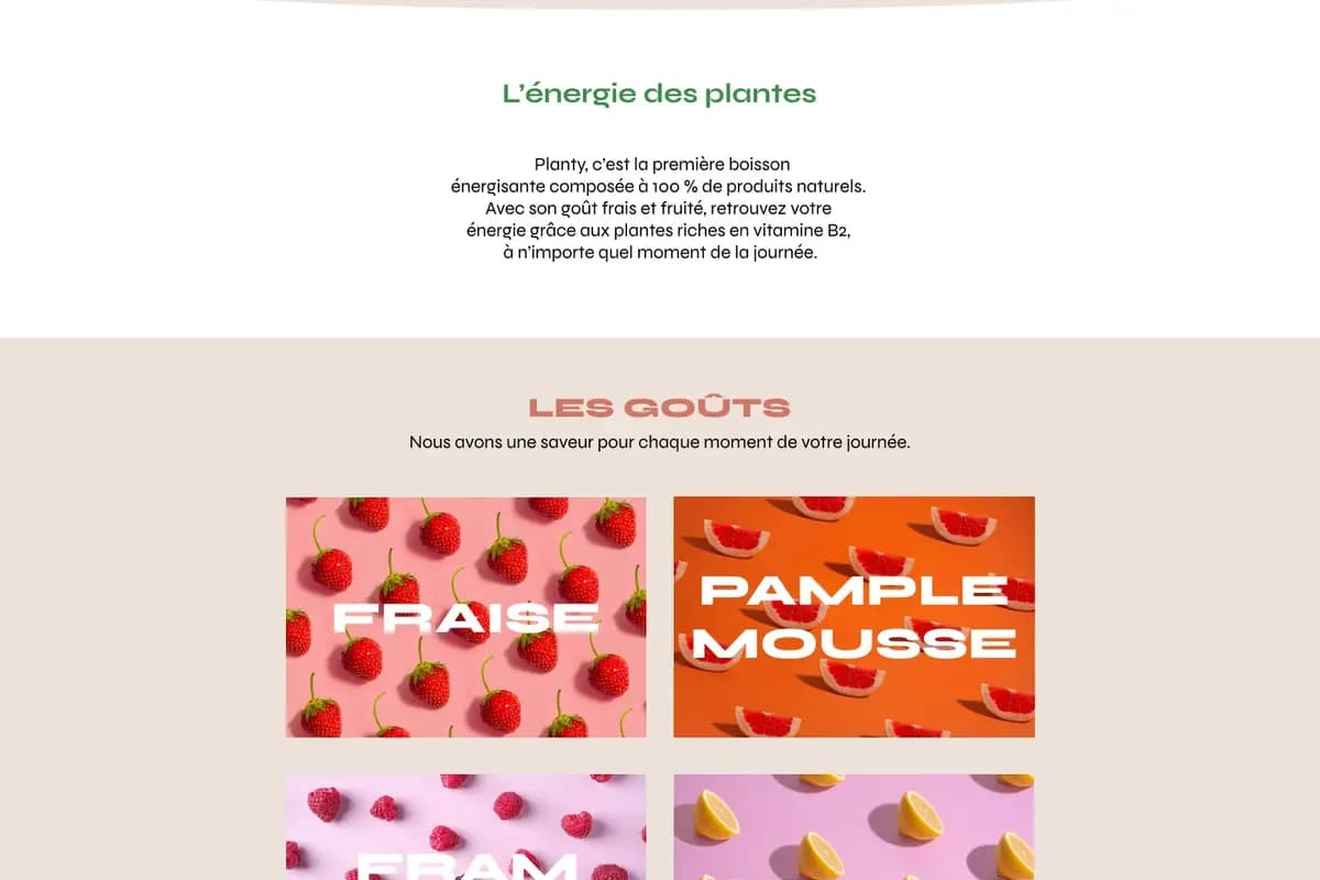 Homepage du site Planty